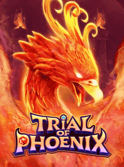 aq333